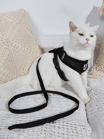 Breathable cat harness with matching leash and reflective detailing for safer outdoor walks