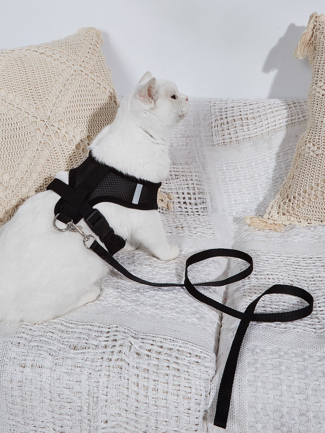 Breathable cat harness with matching leash and reflective detailing for safer outdoor walks