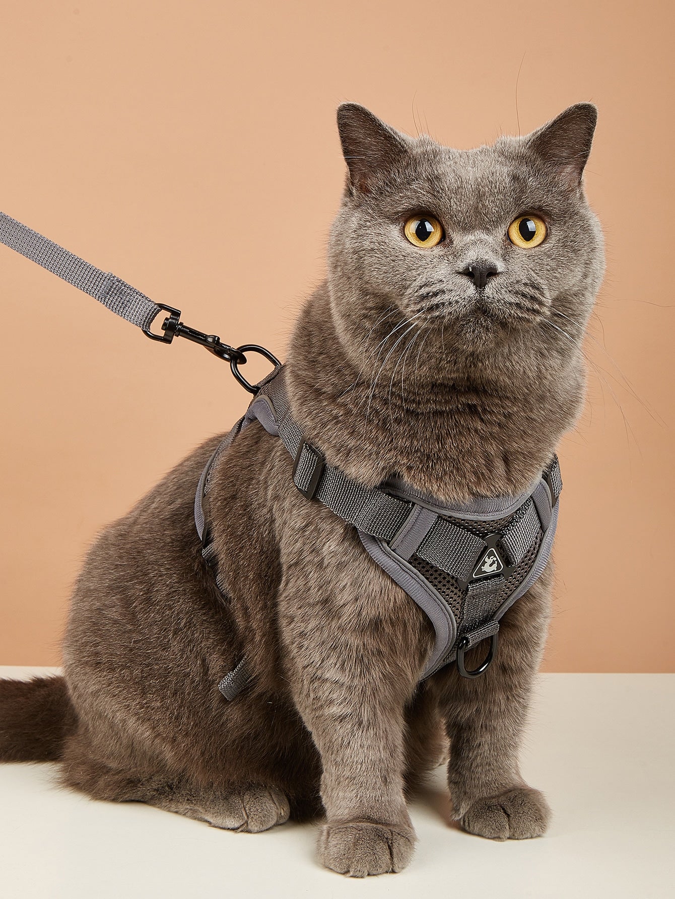 1 Set Pet Outdoor Harness With Reverse Leash, Breathable