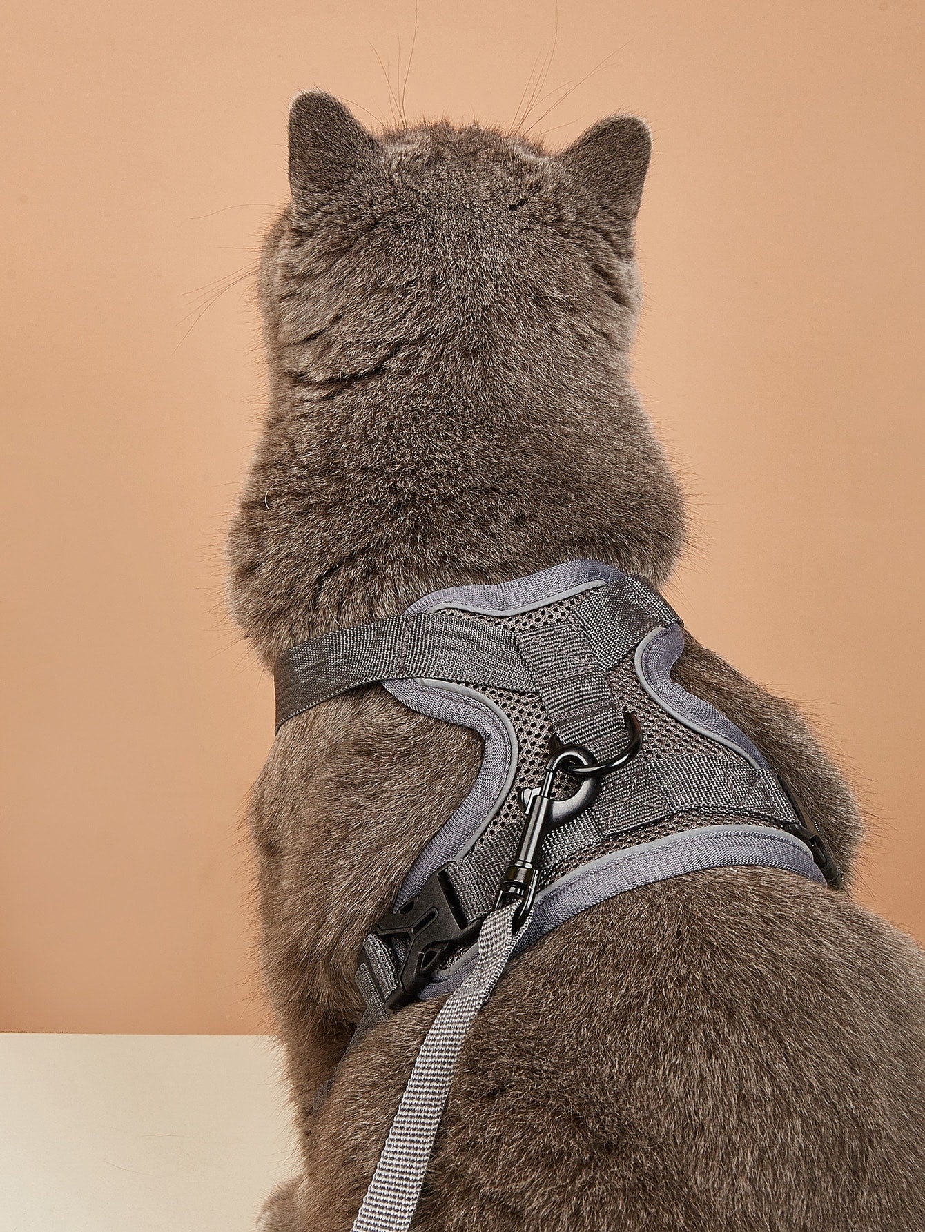 1 Set Pet Outdoor Harness With Reverse Leash, Breathable