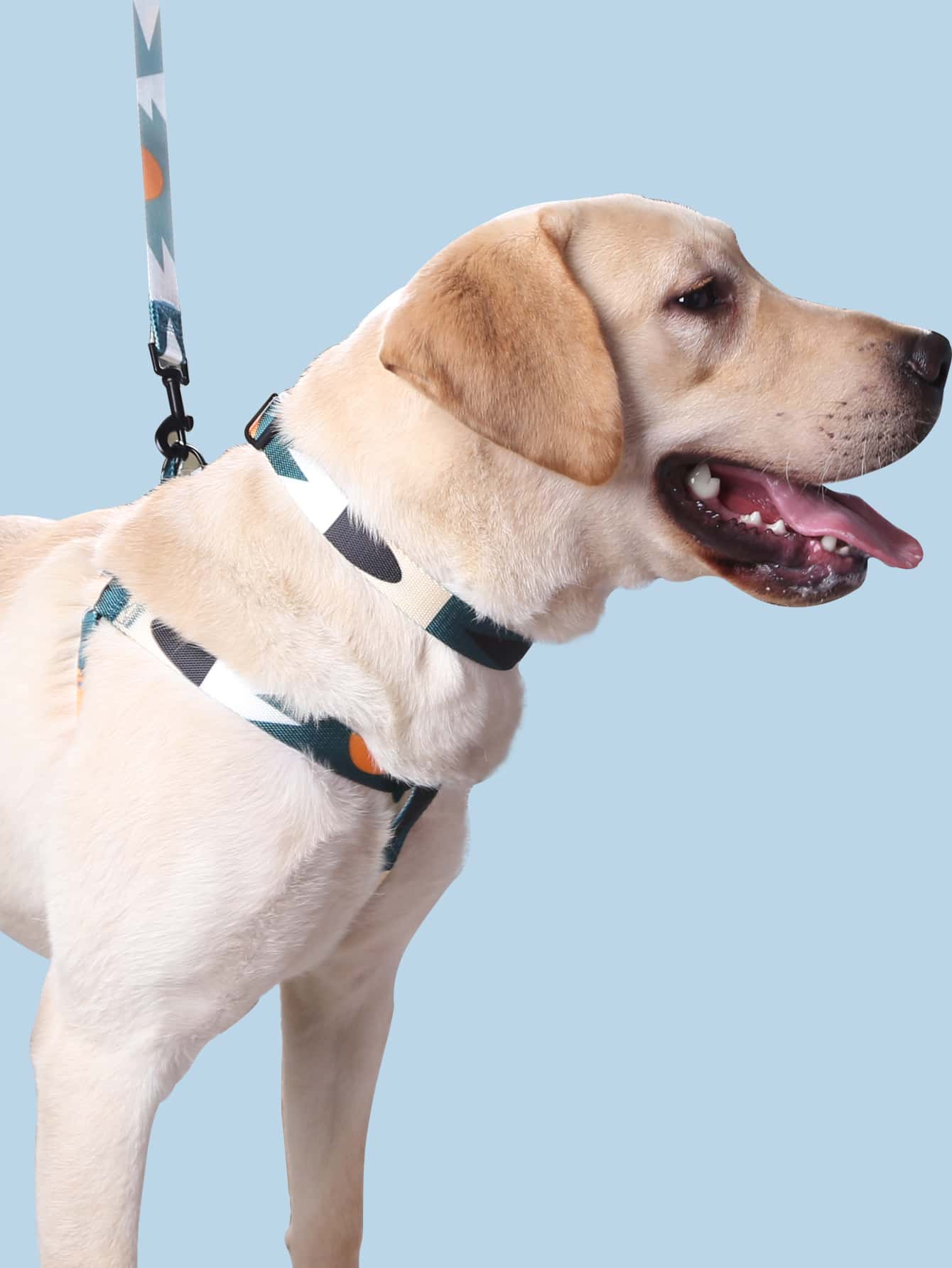 Supet multicolor geometric colorblock pet leash harness set with anti-escape collar for cats and dogs