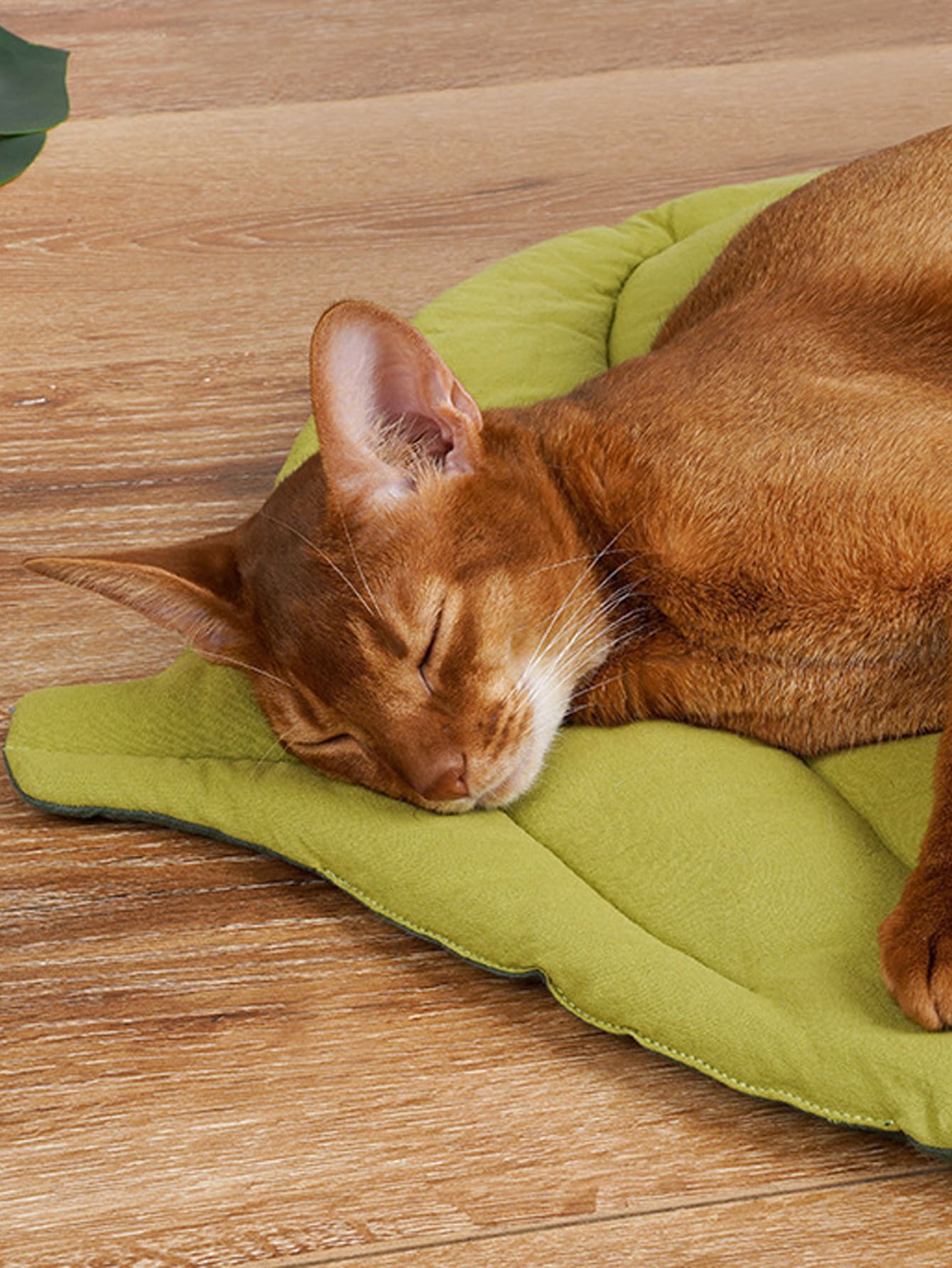 Green colorblock dual color leaf shaped washable thin pet bed mat for small and medium cats and dogs