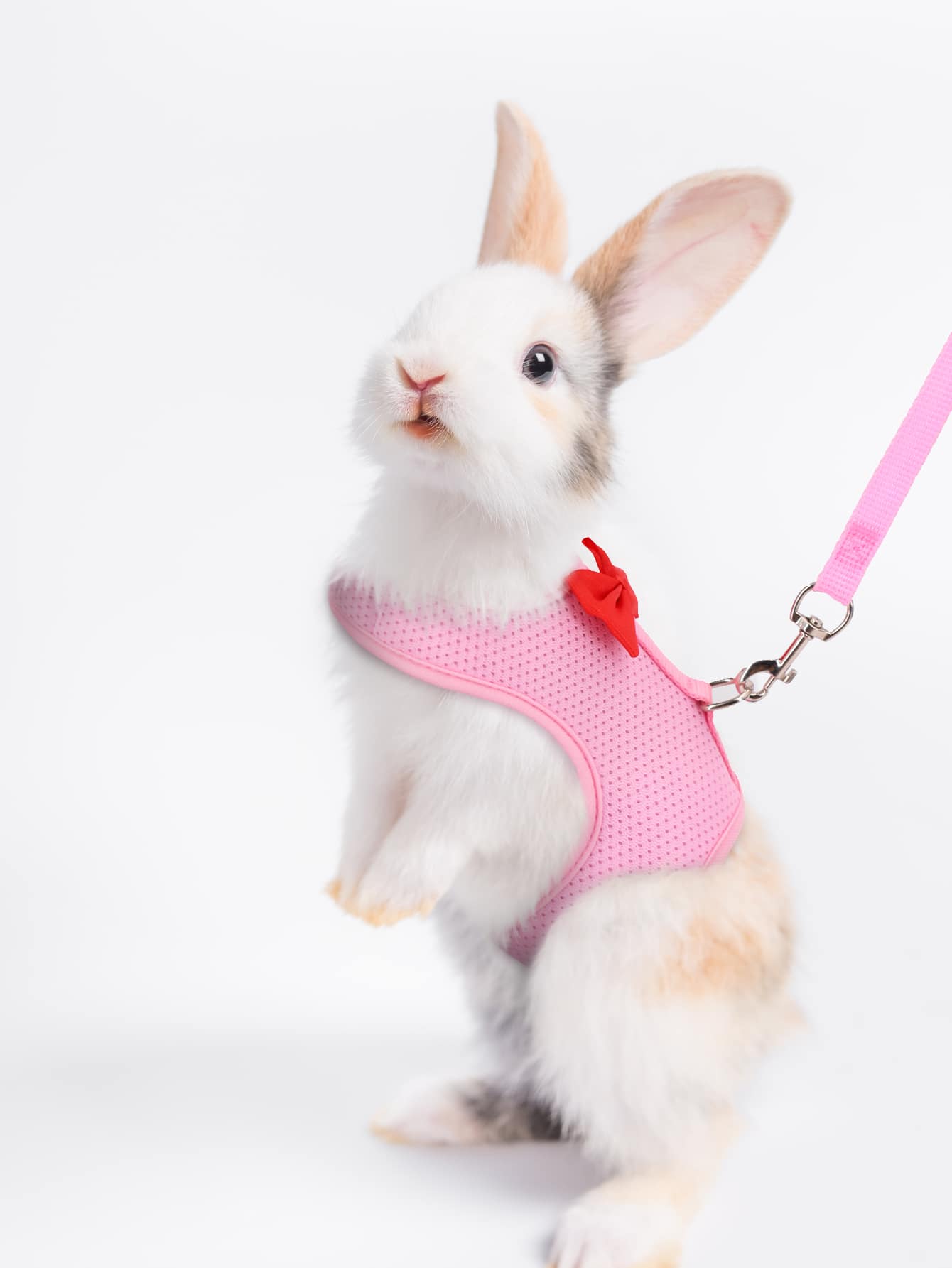 Supet breathable polyester rabbit harness and leash set for small animals in black, designed for supervised outdoor walking and handling.