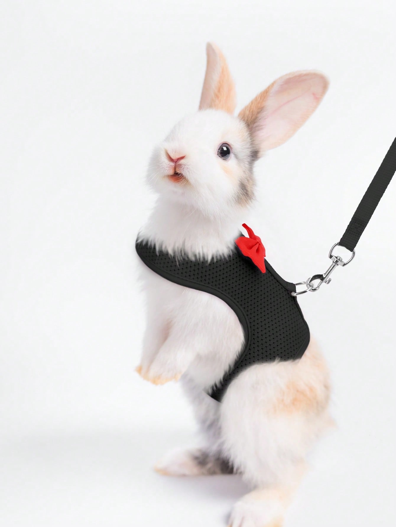 Supet breathable polyester rabbit harness and leash set for small animals in black, designed for supervised outdoor walking and handling.