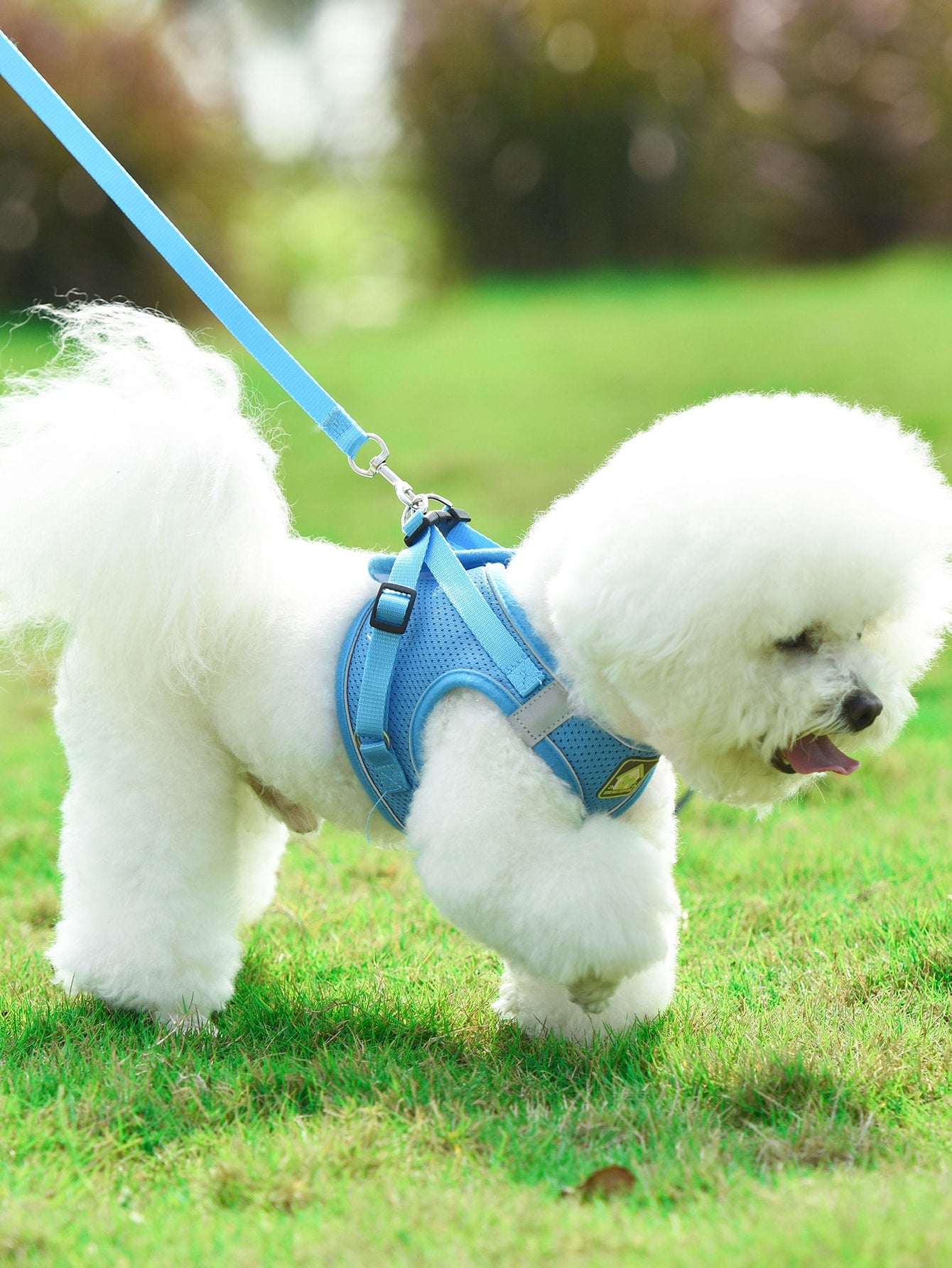 Blue polyester pet chest and back harness with matching leash, breathable mesh fabric, and reflective strips for cats and dogs during outdoor or nighttime walks.