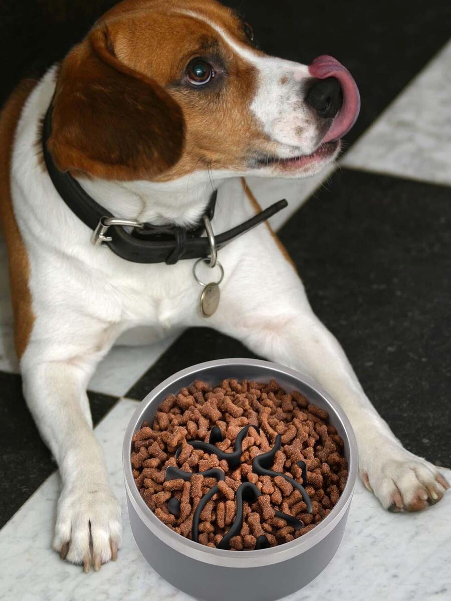 Black TPR puzzle slow feeder dog bowl insert featuring 51 octopus suction cups designed for medium and large dog bowls over 6.5 inches wide.