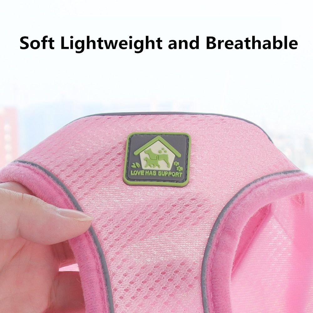 Adjustable vest-style pet harness and leash set for small and medium dogs and cats, made with breathable mesh and reflective stripes for no-pull walking.