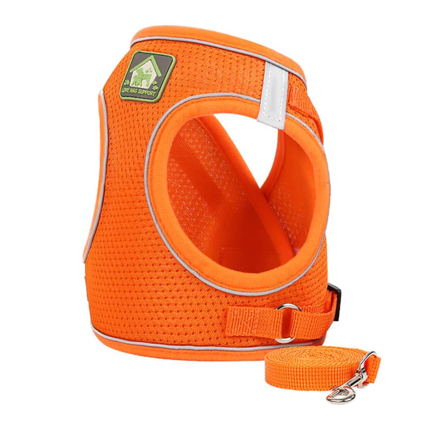 Adjustable vest-style pet harness and leash set for small and medium dogs and cats, made with breathable mesh and reflective stripes for no-pull walking.