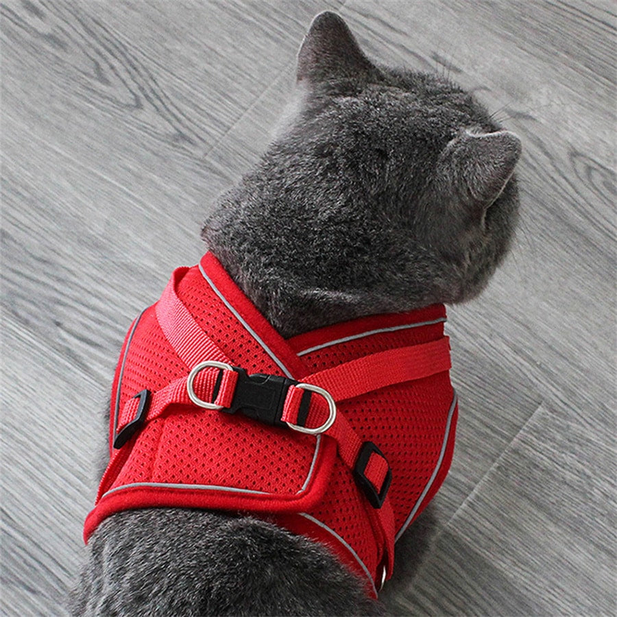 Adjustable vest-style pet harness and leash set for small and medium dogs and cats, made with breathable mesh and reflective stripes for no-pull walking.
