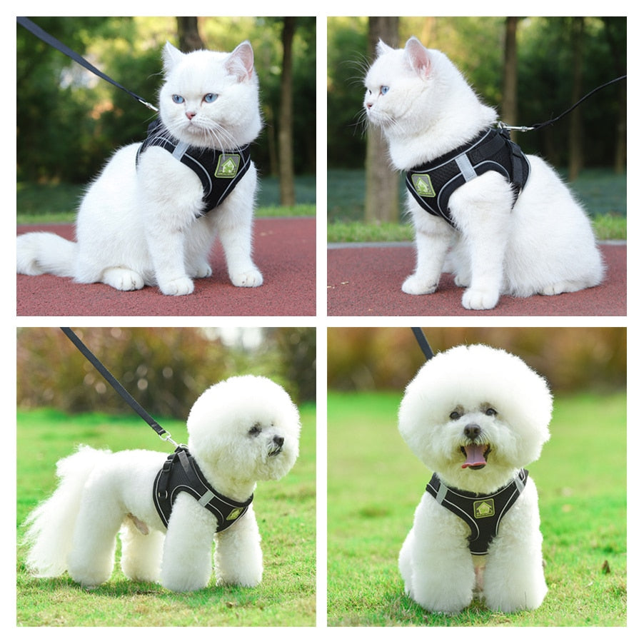 Adjustable vest-style pet harness and leash set for small and medium dogs and cats, made with breathable mesh and reflective stripes for no-pull walking.