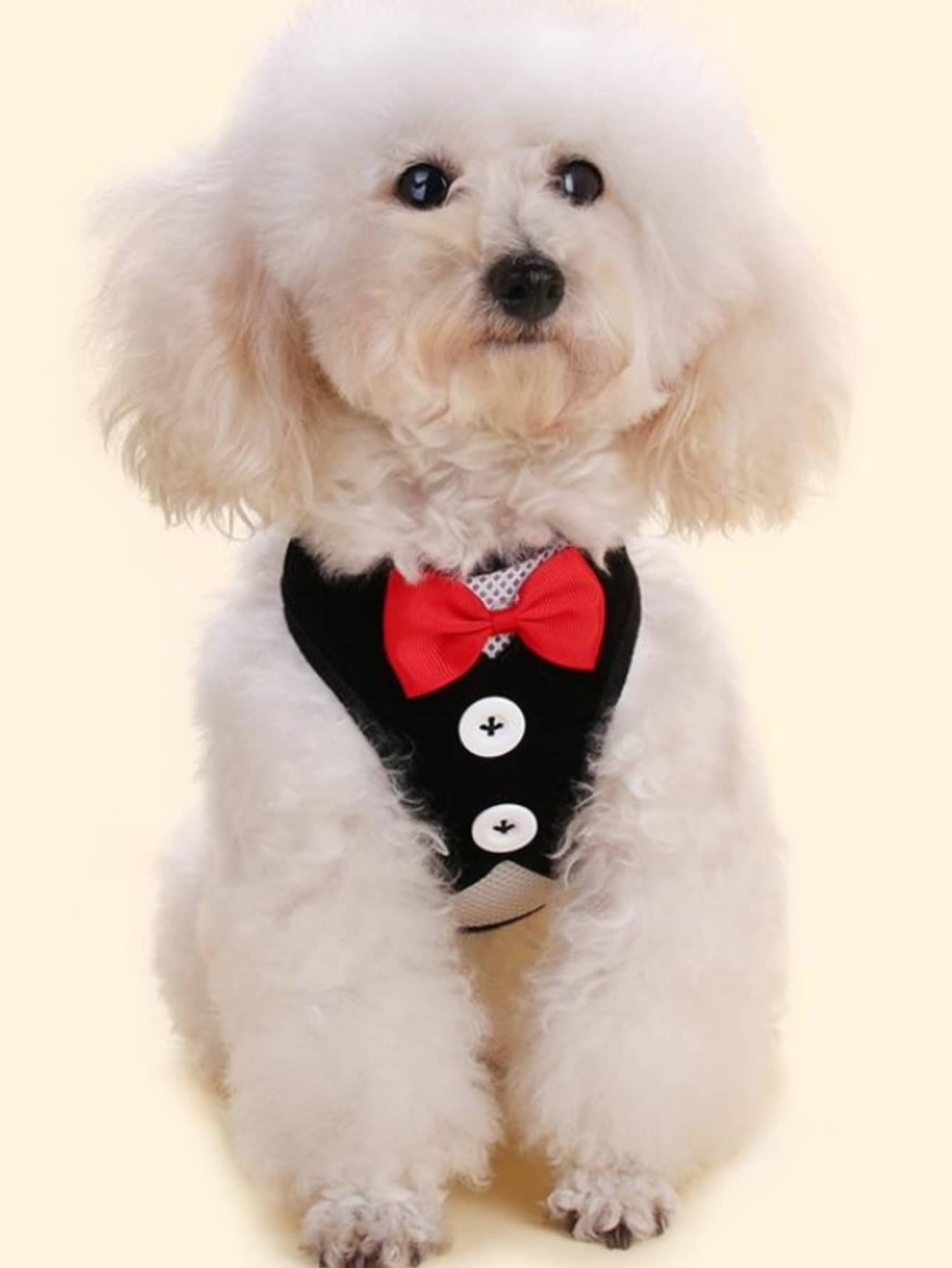 Black polyamide pet chest harness with back strap and geometric pattern for walking cats and small to medium dogs