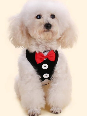 Black polyamide pet chest harness with back strap and geometric pattern for walking cats and small to medium dogs