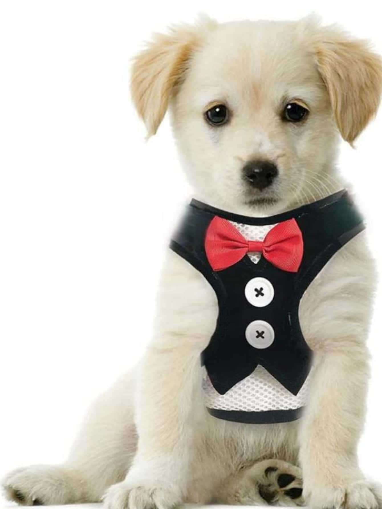Black polyamide pet chest harness with back strap and geometric pattern for walking cats and small to medium dogs
