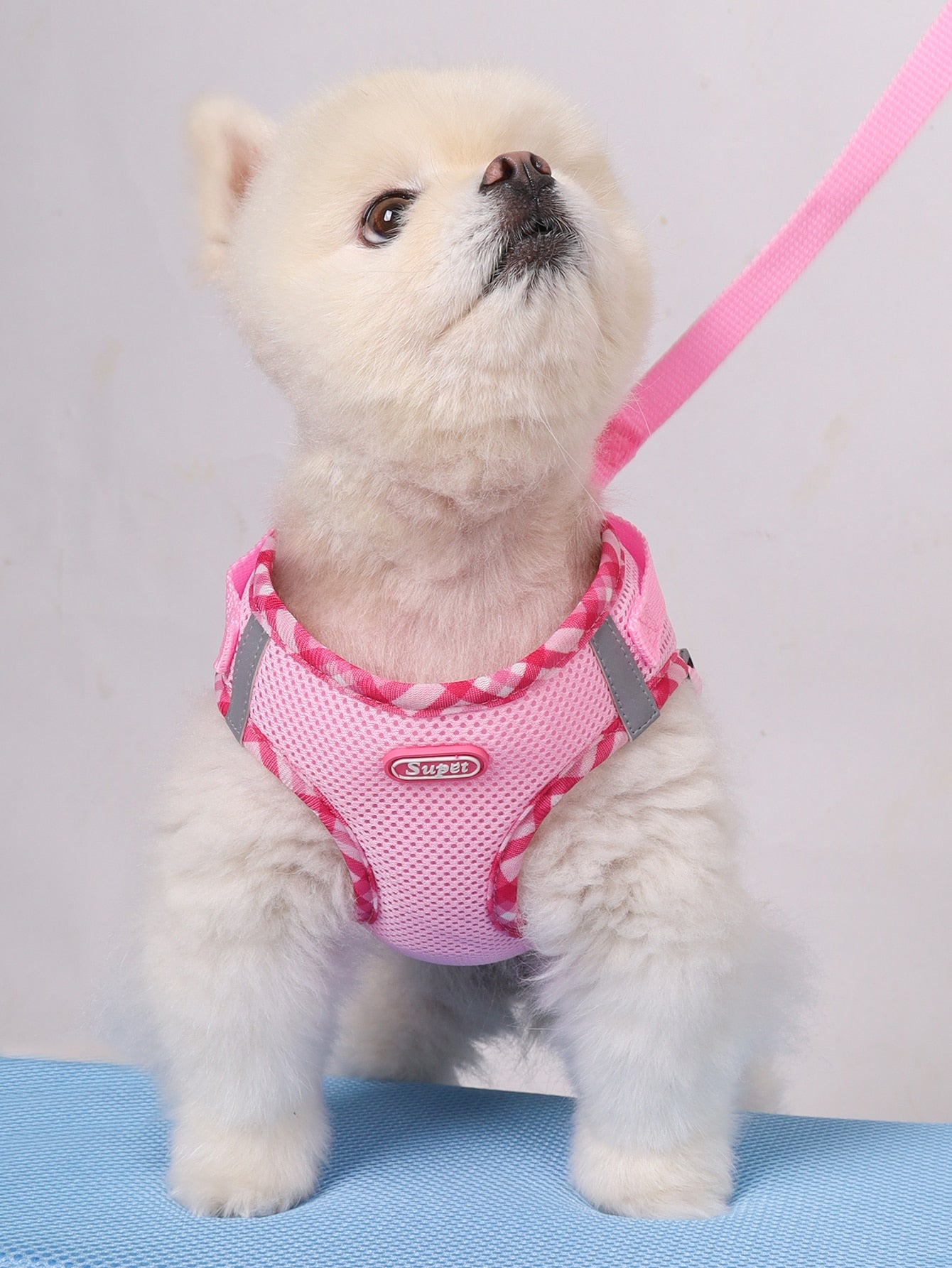 Supet breathable reflective plaid chest and back strap harness set with leash for small dogs and cats in blue polyester