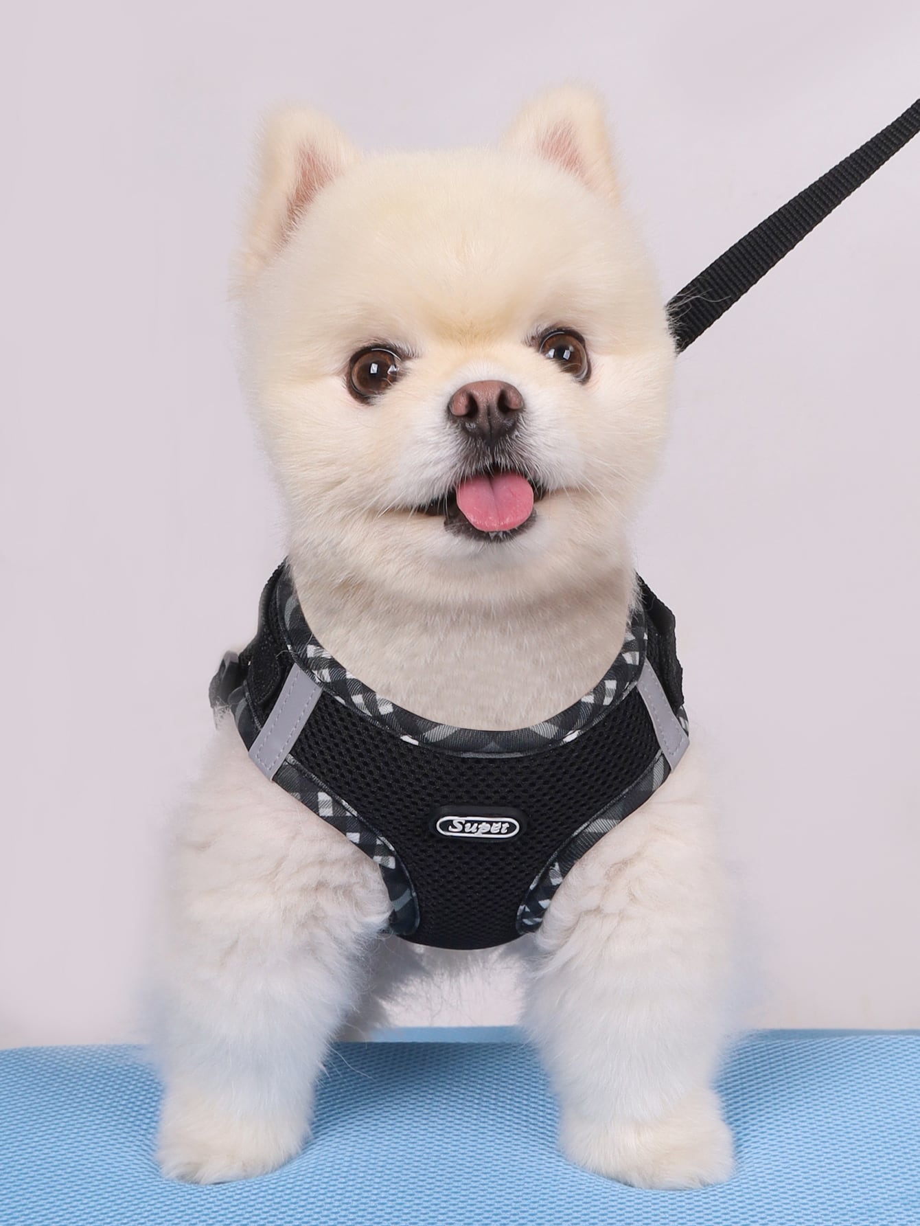 Supet breathable reflective plaid edge chest and back pet harness set with leash for small dogs and cats