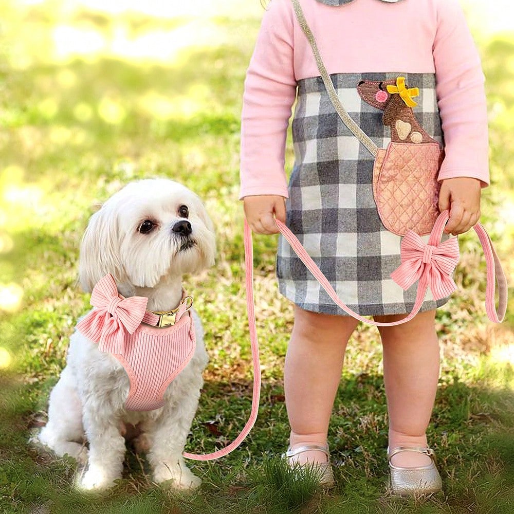 Rose red velvet bow dog collar, leash, and harness set for cats and dogs, made with polyester for everyday pet walks and styling.
