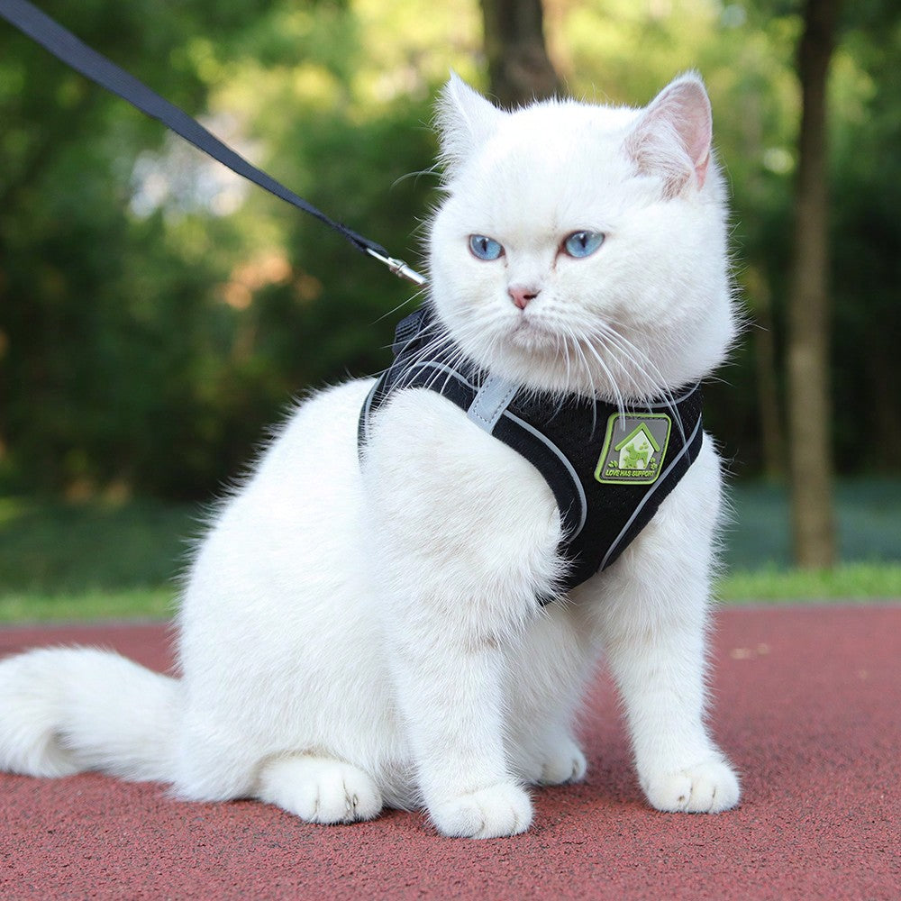 Adjustable vest-style pet harness and leash set for small and medium dogs and cats, made with breathable mesh and reflective stripes for no-pull walking.