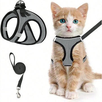Black polyester cat harness and leash set with soft adjustable vest, breathable design, reflective stripe, and easy-control walking fit for cats or dogs.