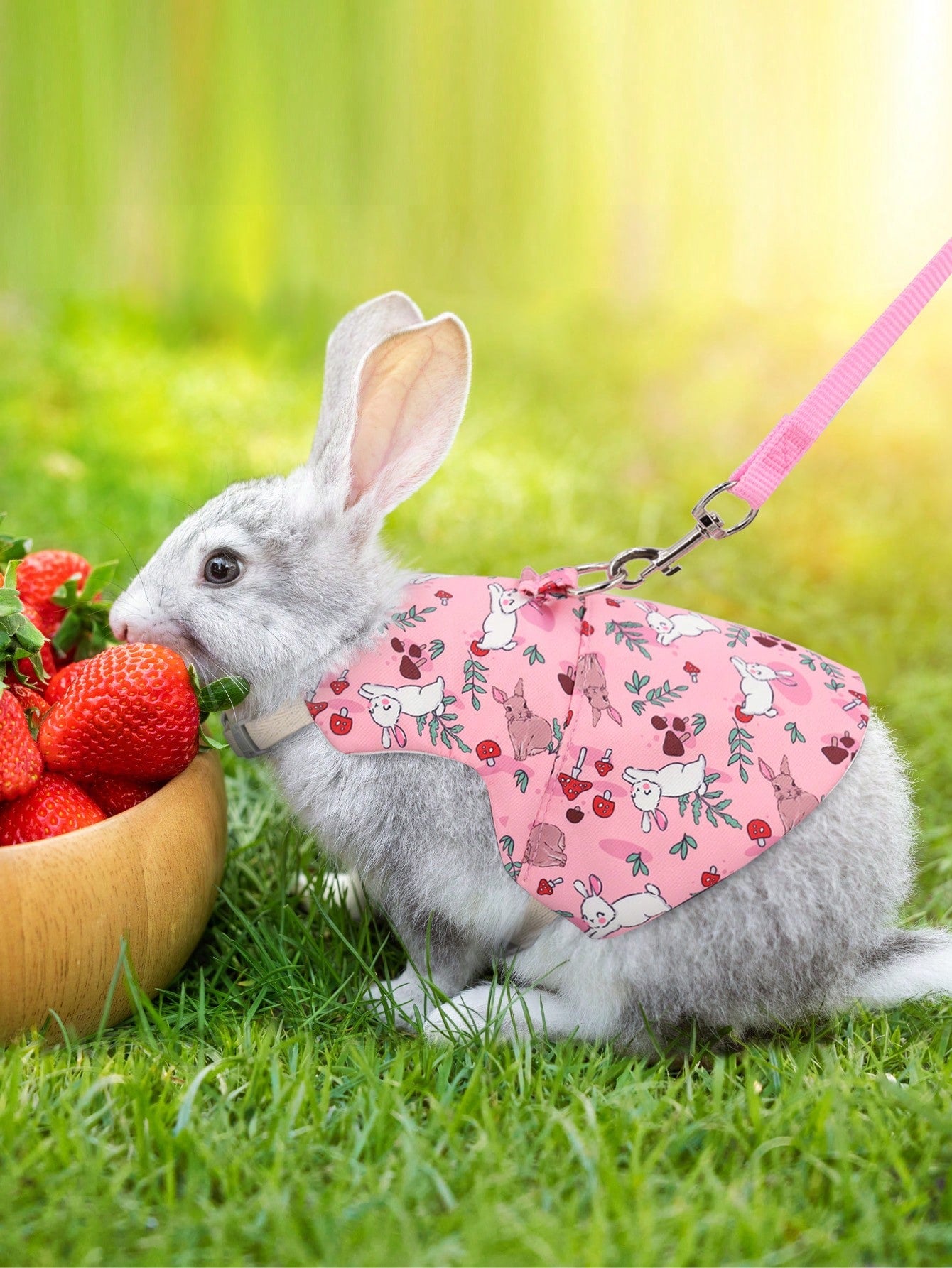 Supet printed breathable polyester harness and leash set for rabbits and small animals, designed for outdoor activities.
