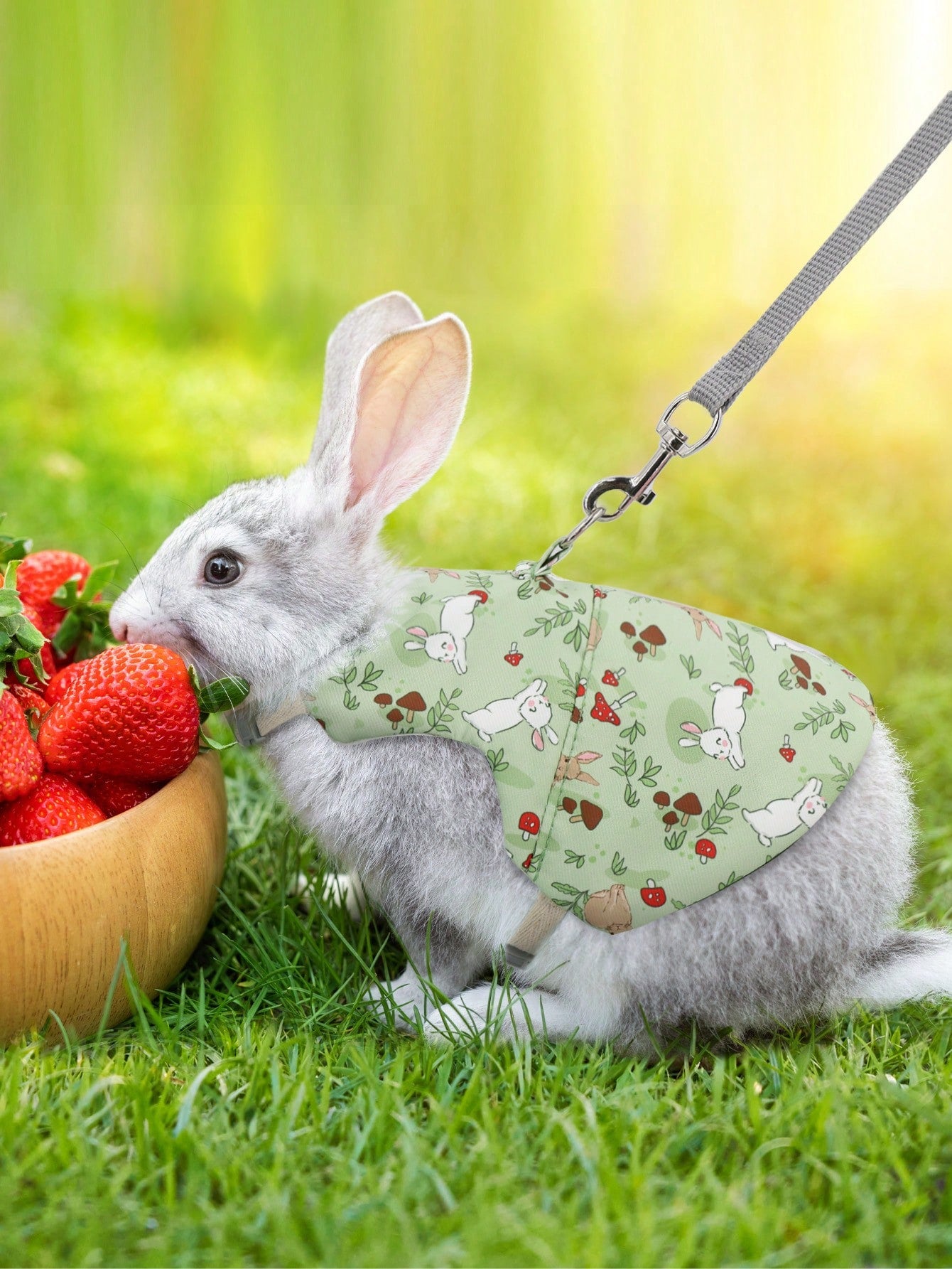 Supet printed breathable polyester harness and leash set for rabbits and small animals, designed for outdoor activities.