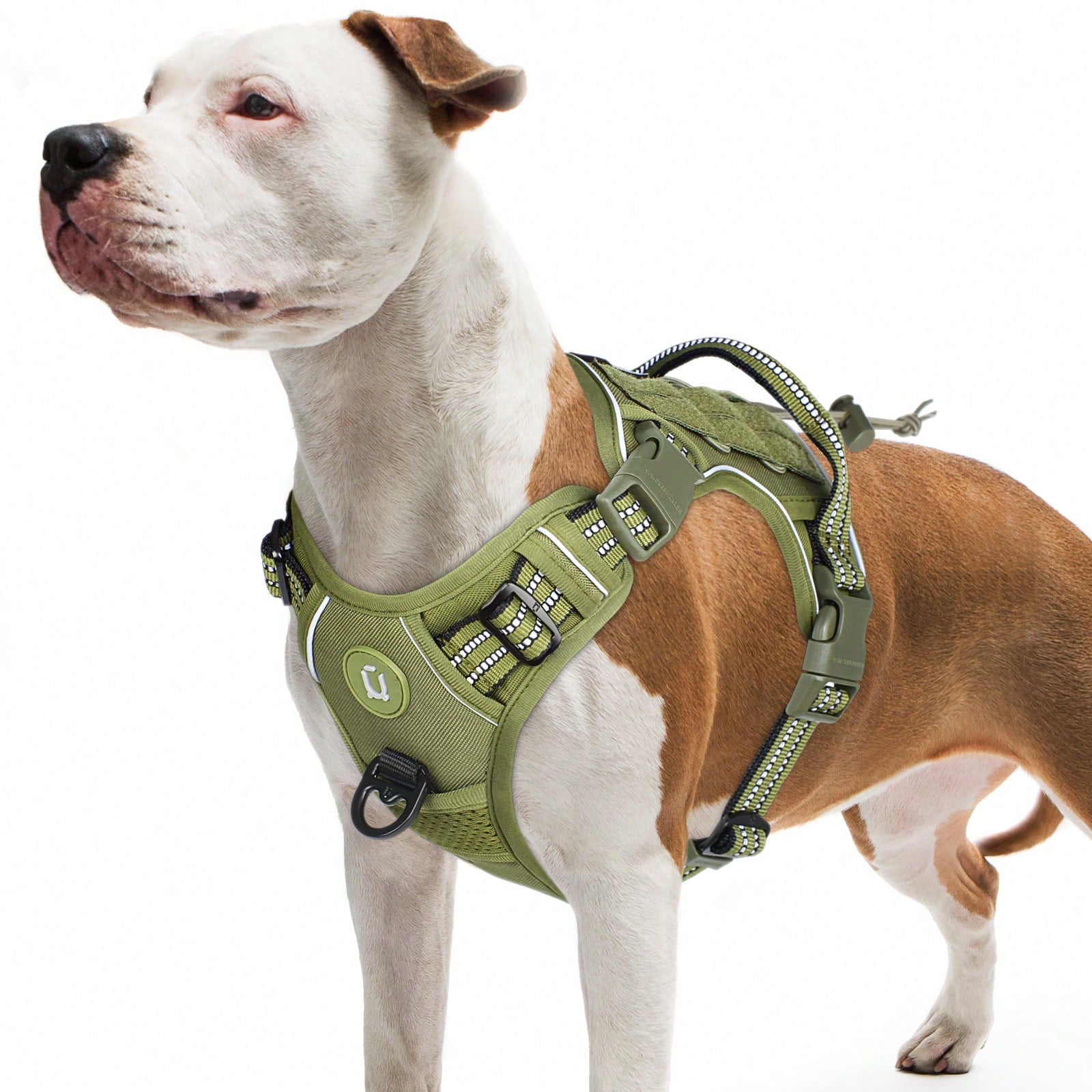 Adjustable tactical dog harness in military vest style with double metal hook and anti-pull design for dog training and walking