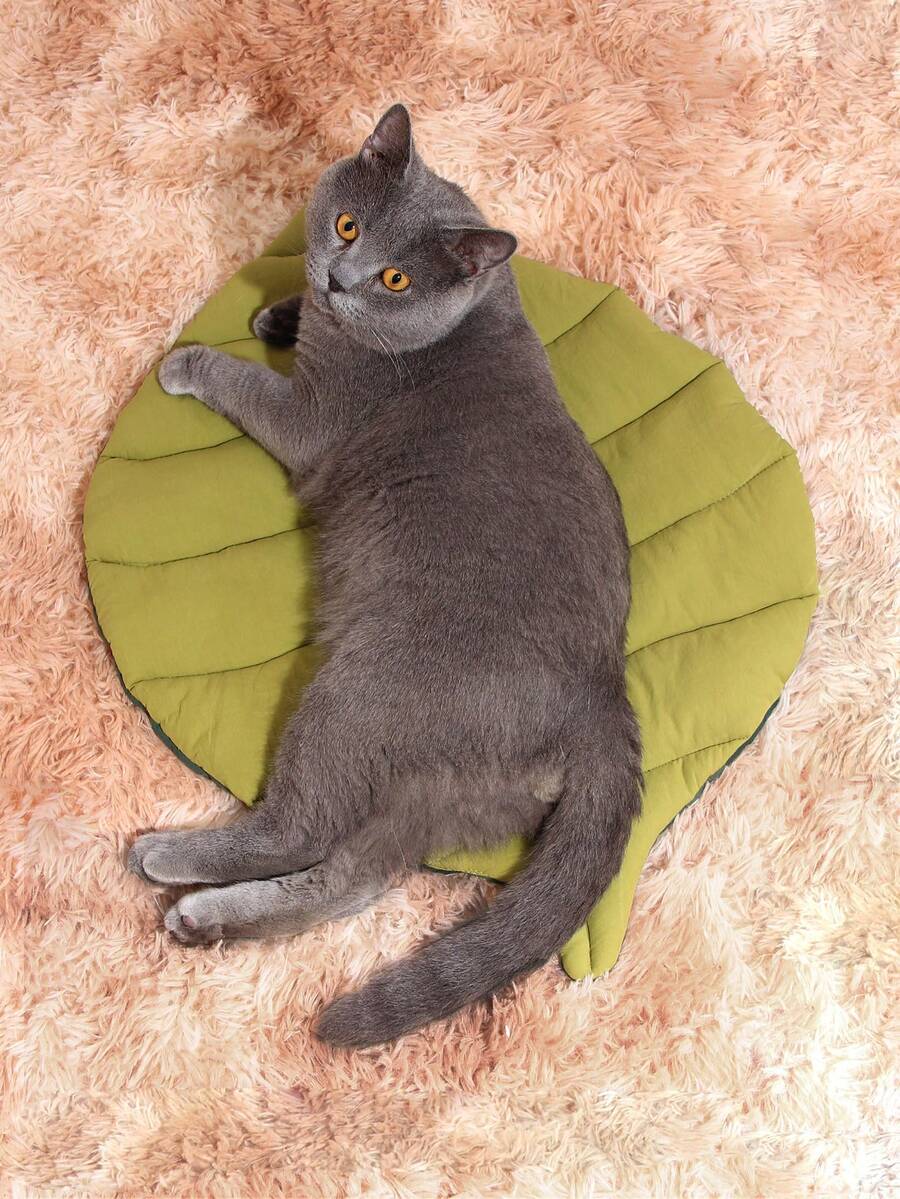 Green colorblock dual color leaf shaped washable thin pet bed mat for small and medium cats and dogs