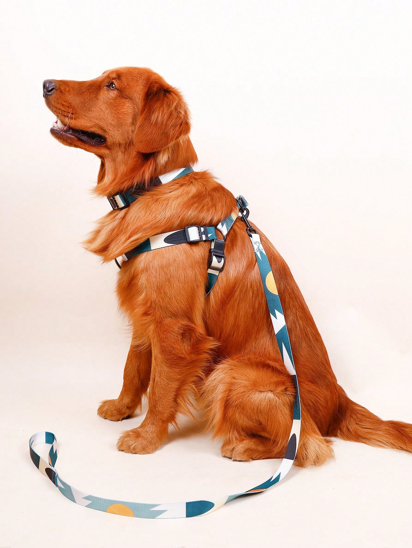 Supet multicolor geometric colorblock pet leash harness set with anti-escape collar for cats and dogs