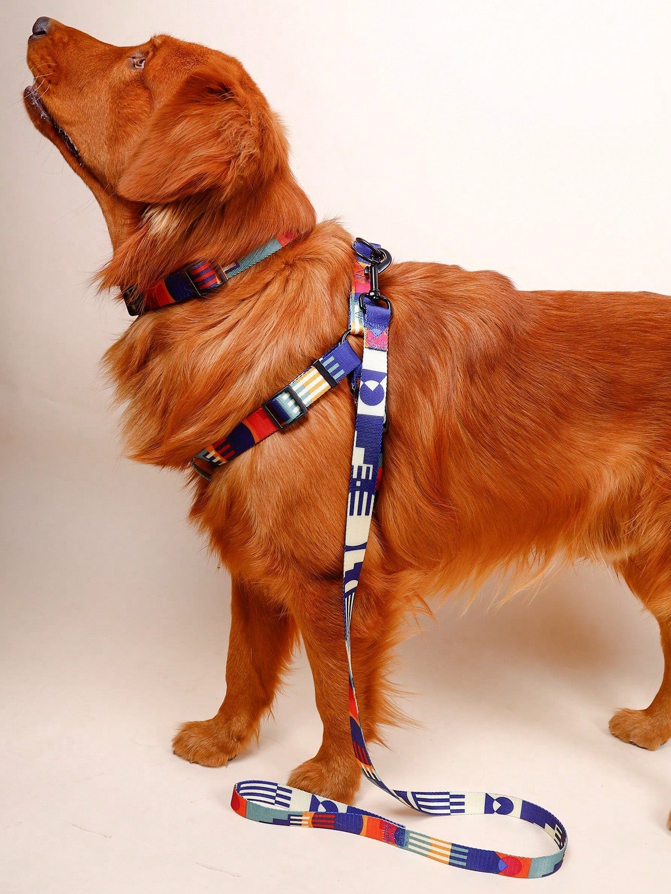 Supet multicolor geometric colorblock pet leash harness set with anti-escape collar for cats and dogs