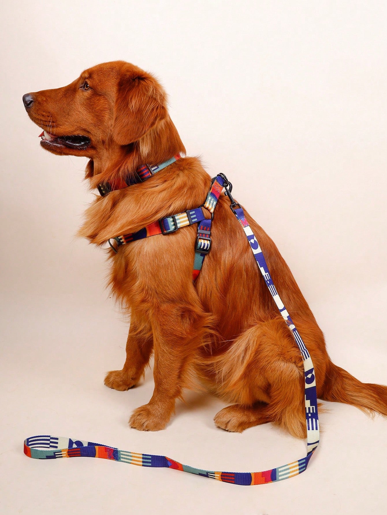 Supet multicolor geometric colorblock pet leash harness set with anti-escape collar for cats and dogs