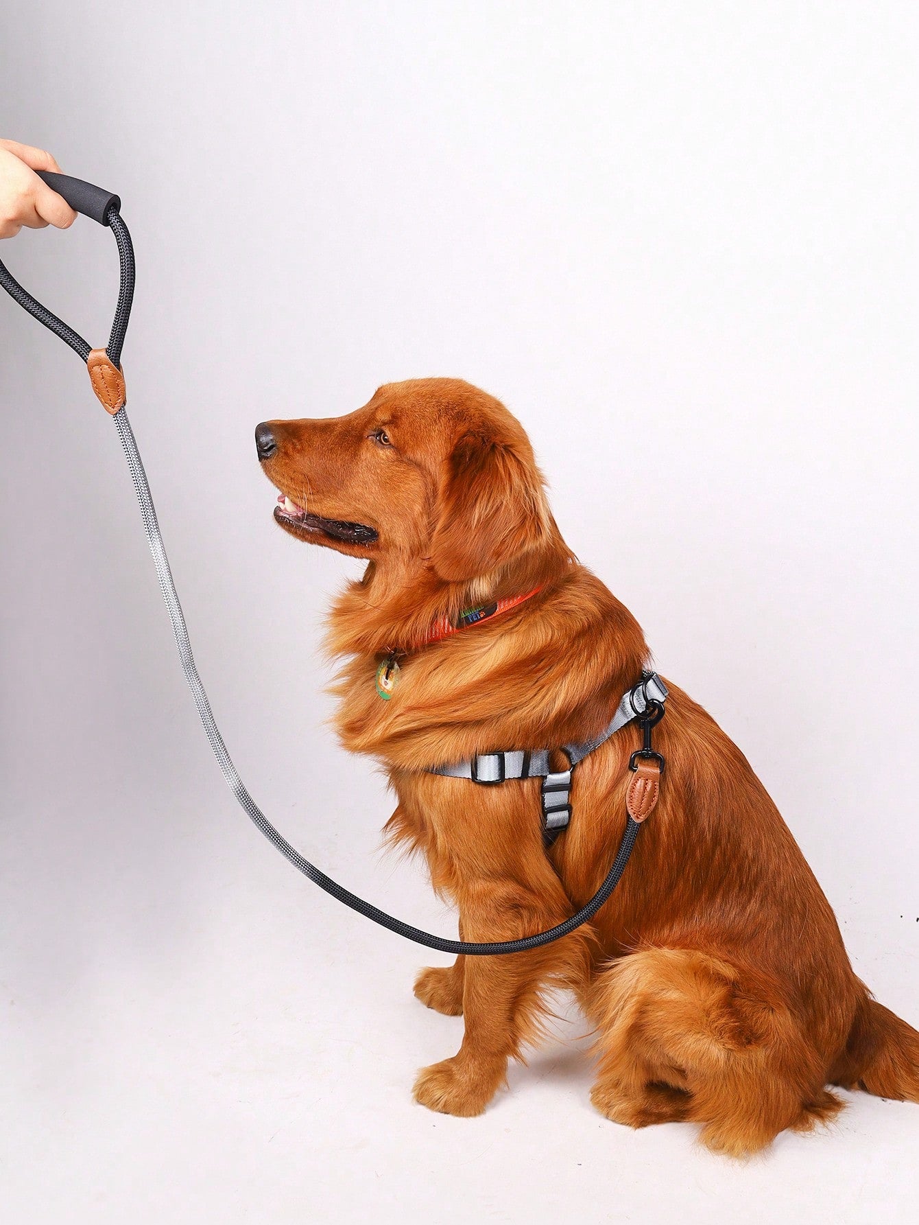 Supet multicolor colorblock pet vest harness with leash, adjustable chest and back walking set for cats and small to medium dogs