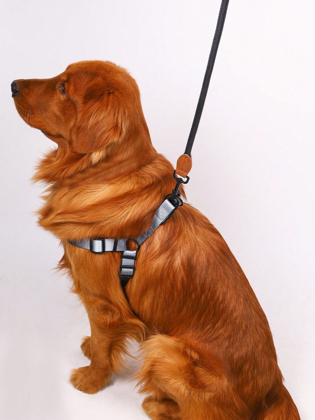 Supet multicolor colorblock pet vest harness with leash, adjustable chest and back walking set for cats and small to medium dogs