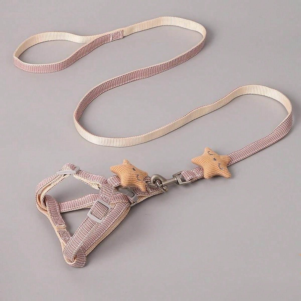 1set Pet Leash And Harness Vest For Small And Medium Sized Dogs, Teddy, Pomeranian, Etc.