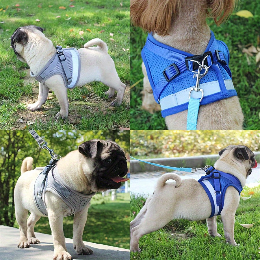 Multicolor reflective polyester vest harness and leash set for cats and dogs with brush and foldable food bowl for outdoor walking and travel