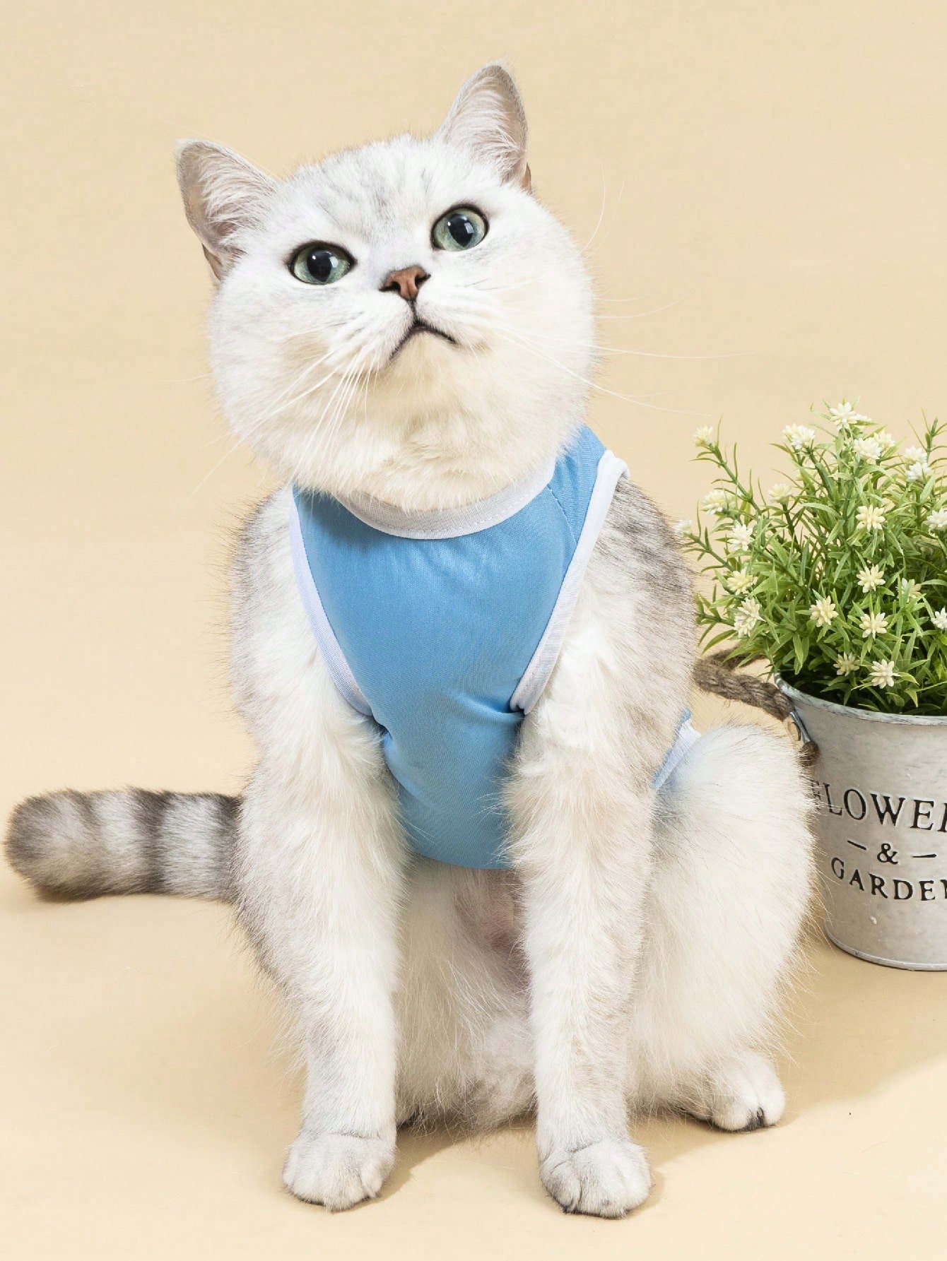 Mama's Boy Forever Blue Pet Print Top, 1pc