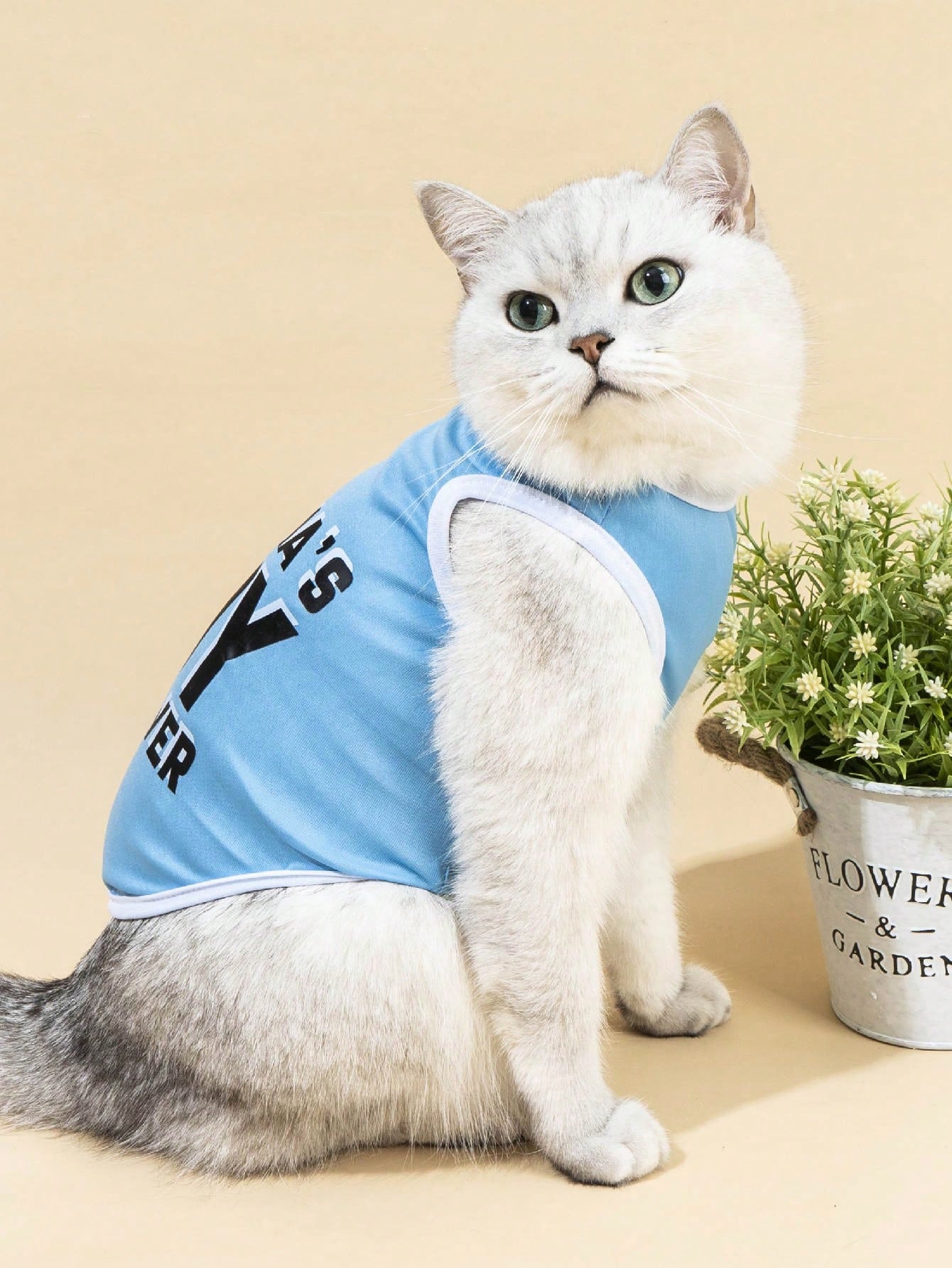 Mama's Boy Forever Blue Pet Print Top, 1pc
