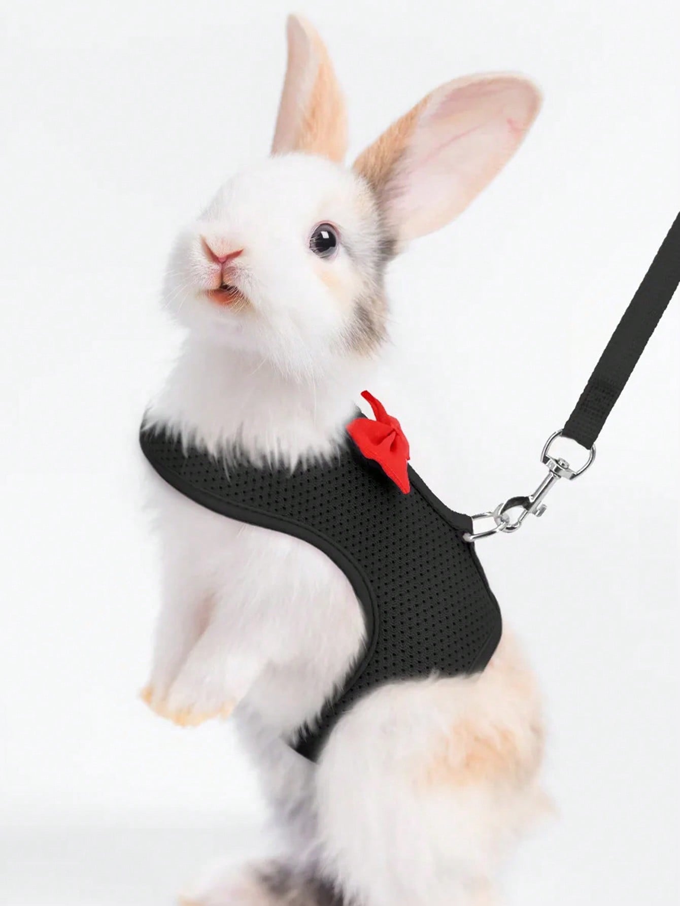 Multicolor breathable polyester rabbit harness and leash set for small animals