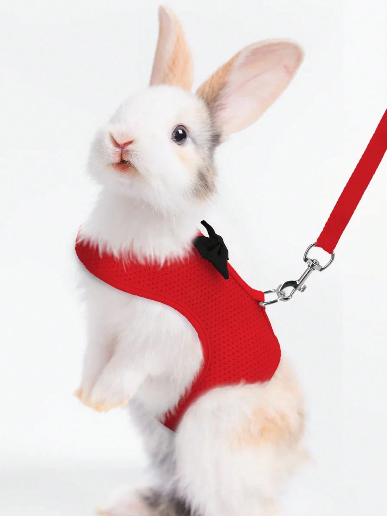 Multicolor breathable polyester rabbit harness and leash set for small animals