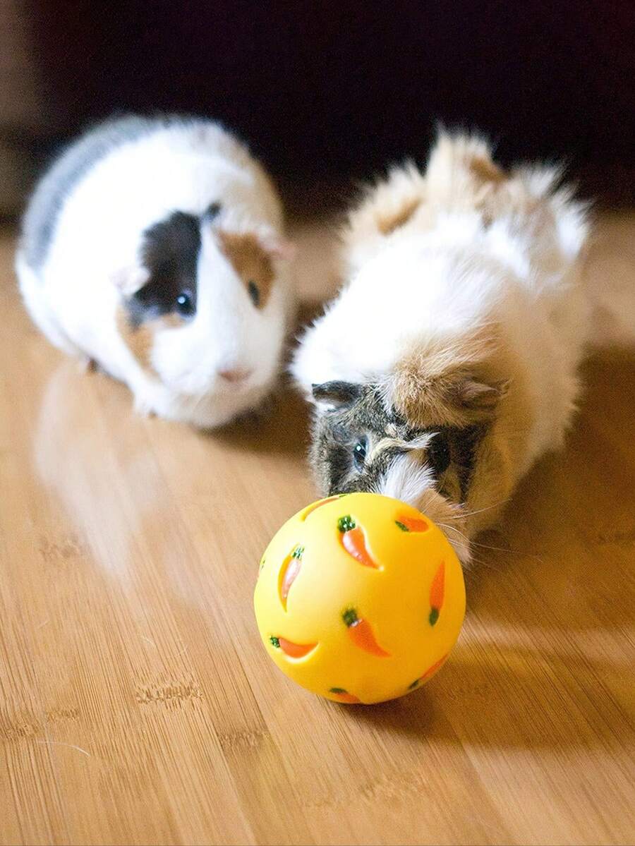 Multicolor small pet toy set featuring a carrot-shaped slow feeder food dispenser and an expandable telescopic play tunnel made of Polyvinyl Chloride for hamsters, bunnies, ferrets, and sugar gliders.