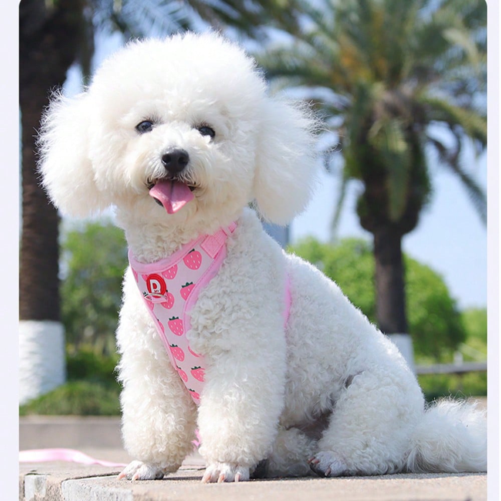 Adjustable polyester pet harness and leash set for cats and small dogs, designed as an anti-escape walking vest for outdoor use.
