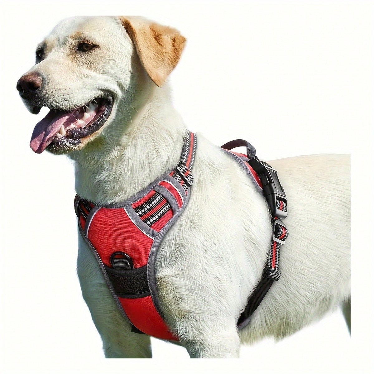 Reflective dog harness and 1.5m leash set with breathable colorblock polyamide chest strap for cats, puppies, and small to large dogs