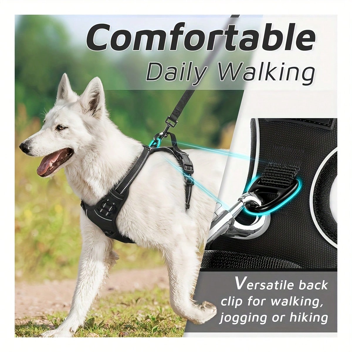 Reflective dog harness and 1.5m leash set with breathable colorblock polyamide chest strap for cats, puppies, and small to large dogs