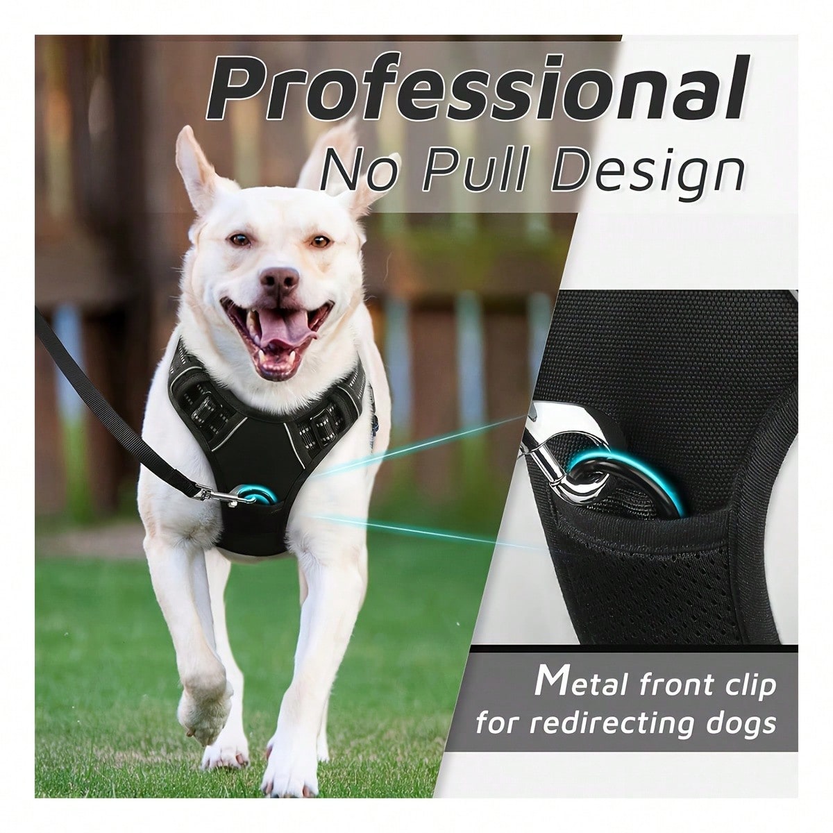 Reflective dog harness and 1.5m leash set with breathable colorblock polyamide chest strap for cats, puppies, and small to large dogs