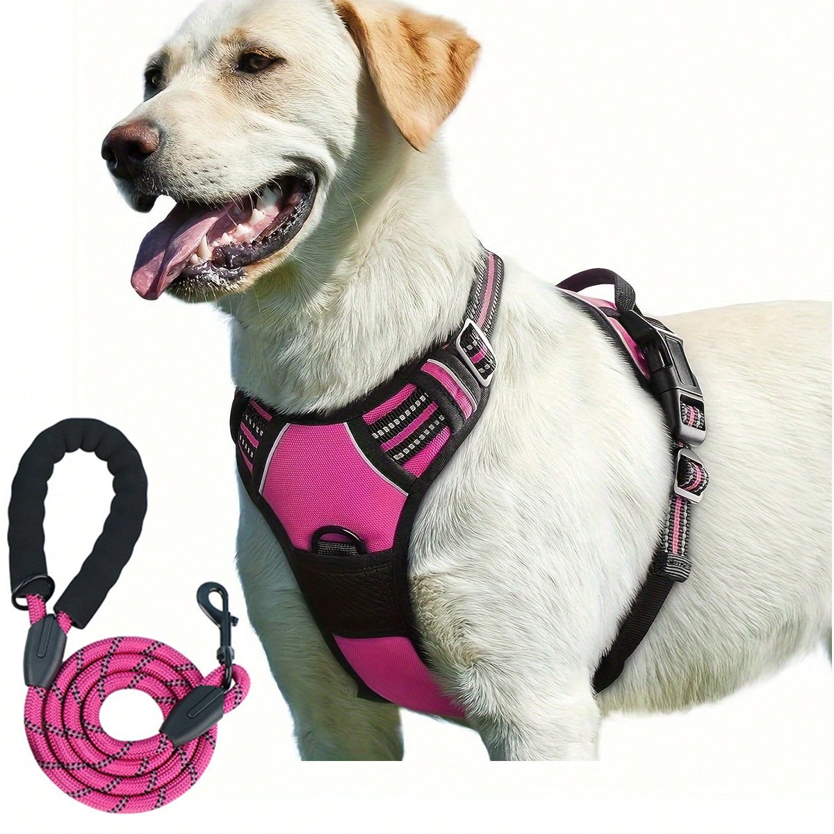 Reflective dog harness and 1.5m leash set with breathable colorblock polyamide chest strap for cats, puppies, and small to large dogs