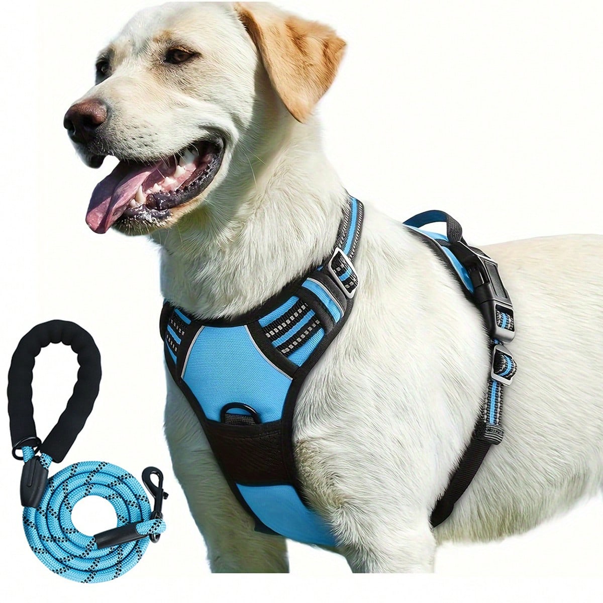 Reflective dog harness and 1.5m leash set with breathable colorblock polyamide chest strap for cats, puppies, and small to large dogs