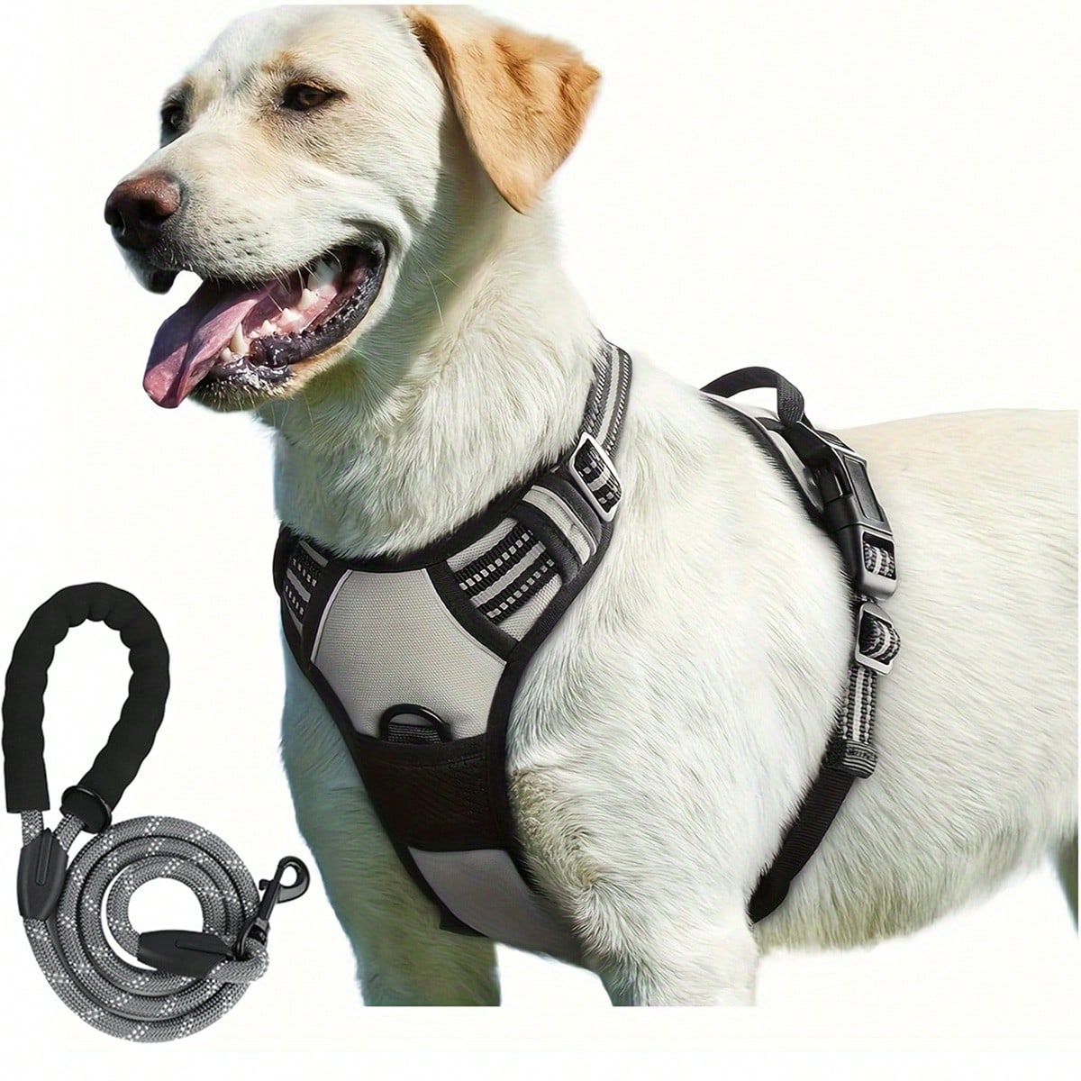 Reflective dog harness and 1.5m leash set with breathable colorblock polyamide chest strap for cats, puppies, and small to large dogs