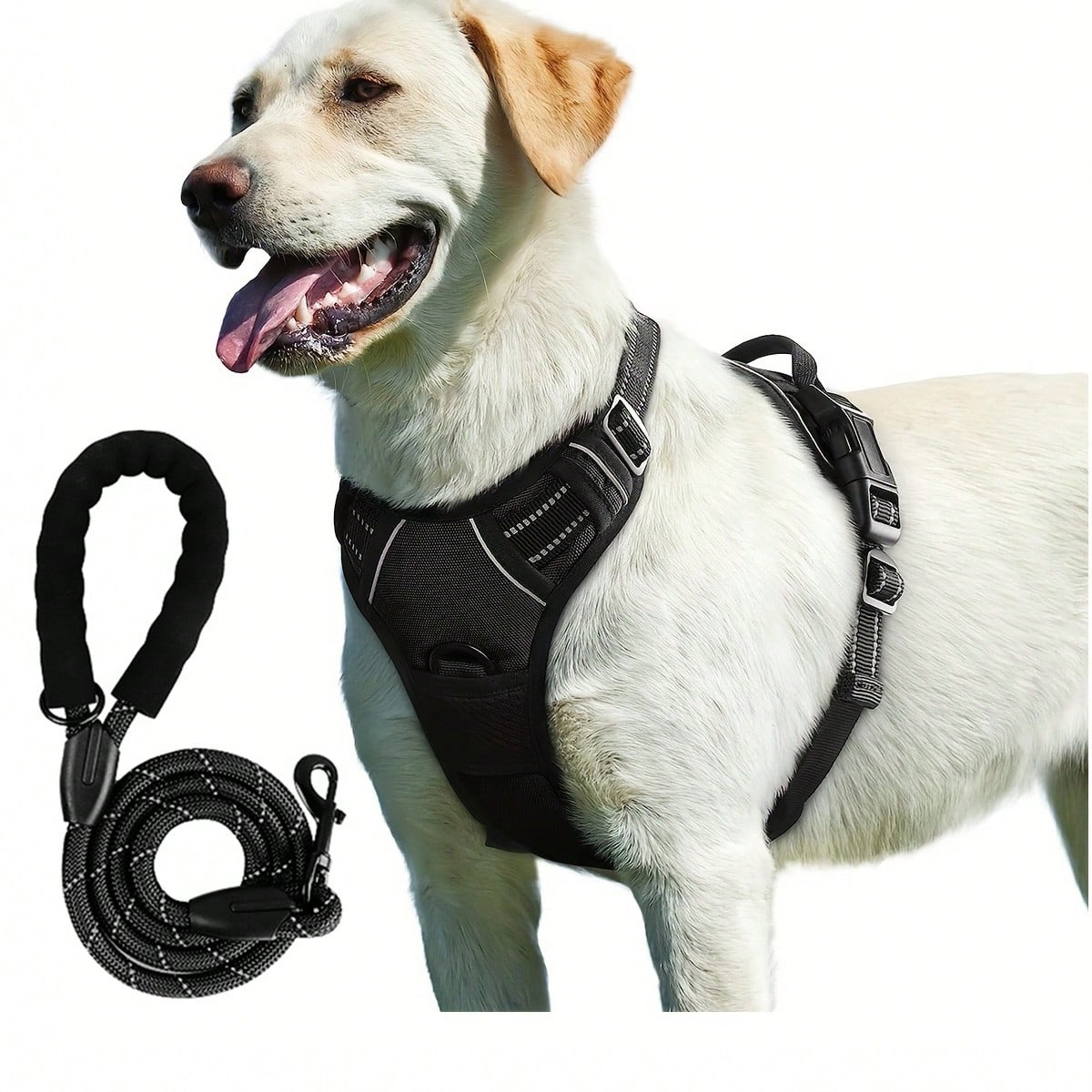 Reflective dog harness and 1.5m leash set with breathable colorblock polyamide chest strap for cats, puppies, and small to large dogs
