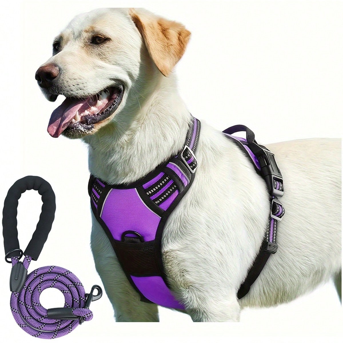 Reflective dog harness and 1.5m leash set with breathable colorblock polyamide chest strap for cats, puppies, and small to large dogs