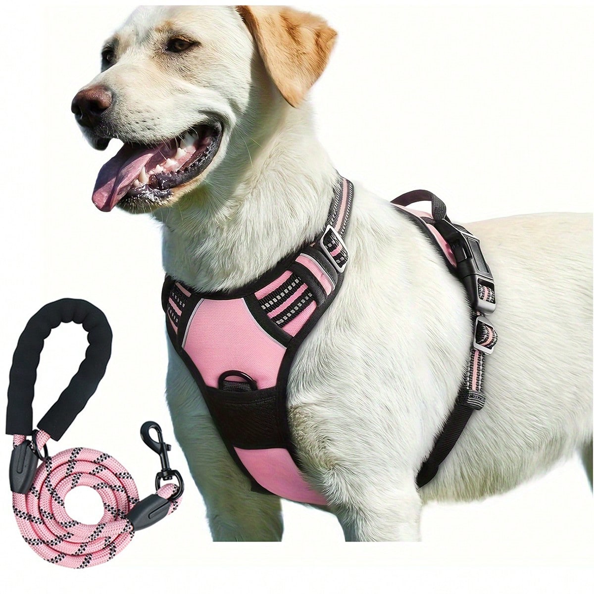 Reflective dog harness and 1.5m leash set with breathable colorblock polyamide chest strap for cats, puppies, and small to large dogs