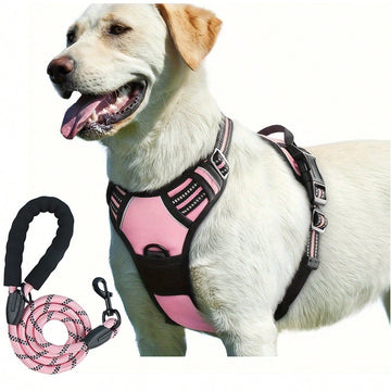Reflective dog harness and 1.5m leash set with breathable colorblock polyamide chest strap for cats, puppies, and small to large dogs