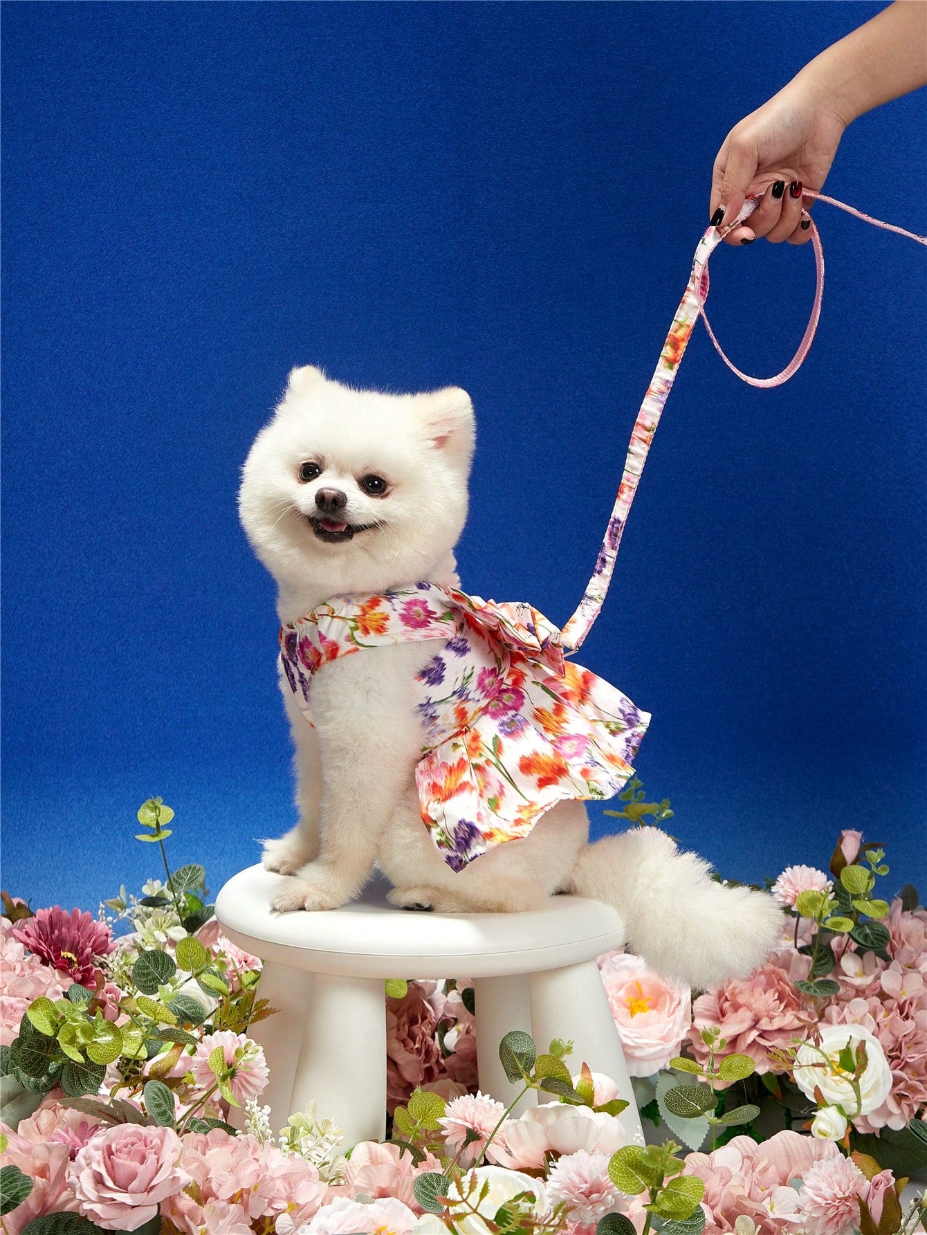 Multicolor floral print bowknot pet collar and leash set made of polyester for cats and dogs, designed for outdoor activities.